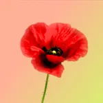 Fluya: Relax & Relieve Stress icon