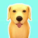 Crazy labs icon