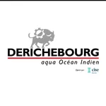 Saur Derichebourg AOI & Moi icon