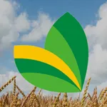 Agroinsumos B&L S.A. icon