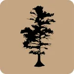 BoldCypress Tracking icon