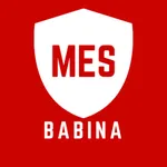 MES Babina icon