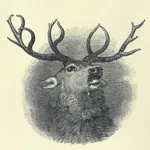 599 Elks icon