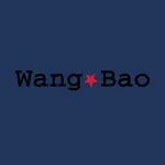 Wang Bao icon