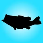 Bass Log icon