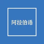 阿拉伯语大全 icon