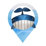 Зачекинь кита и Ко icon