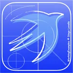 Working Examples for SwiftUI icon