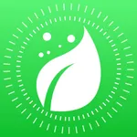 Plant Finder Tree identifer icon