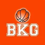 BKG icon