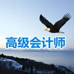 高级会计考试大全 icon