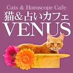 猫＆占いカフェVENUS（ビーナス） 公式アプリ icon