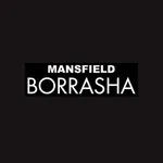 Borrasha icon