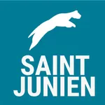 Saint-Junien icon