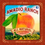 Amadio Ranch icon