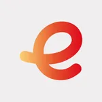 e:cheque icon