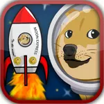 Doge Run icon