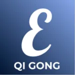 Qi Gong Kurs icon