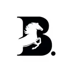 Black Point Recruitment icon