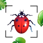 Insect Identification Bug ID icon