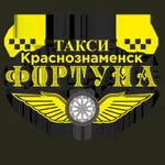 Фортуна - Краснознаменск icon