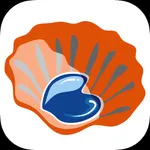Camino Imota icon