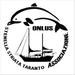 Stenella striata Taranto onlus icon