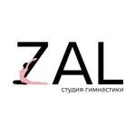 Студия ZAL icon