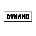 Dynamo Eindhoven icon