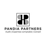 Pandia Partners icon