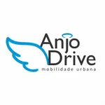 Anjo Drive Passageiro icon