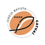 IBCATUAI icon