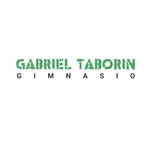 Gabriel Taborin icon