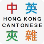 Hong Kong Code-mixing 香港中英夾雜字典 icon