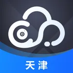 天津云审 icon