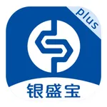 银盛宝Plus icon