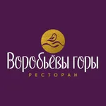 Воробьёвы горы Москва icon