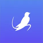 SwiftUI学习教程 icon