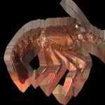 エビとカニ icon