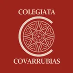 VISITA EXCOLEGIATA COVARRUBIAS icon