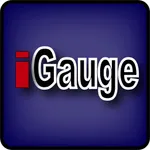 iGaugeBLE icon