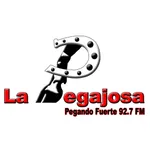 La Pegajosa icon