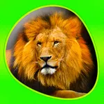 Animals 360 - Wildlife icon