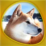 Animals 360 - The DogShow Gold icon