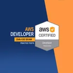 AWS DVA-C01 Certification icon