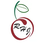 RHJ International icon
