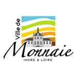 Monnaie icon