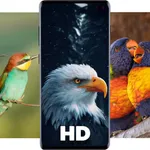 Birds Wallpapers HD icon