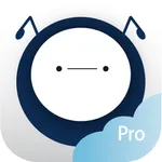 养车大V Pro icon