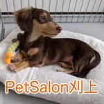 PetSalon刈上 icon